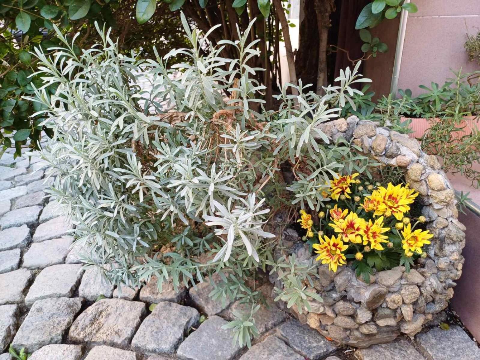 פלובדיב Residence Art Guest House מראה חיצוני תמונה